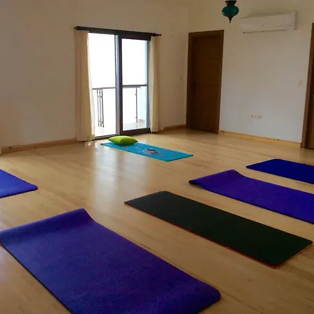Lotus House *