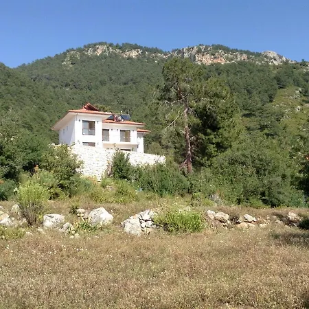 Lotus House Villa Cedit